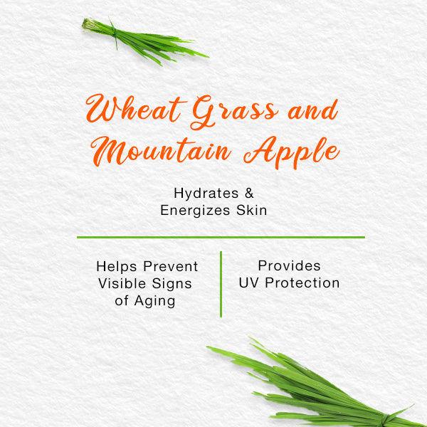 Energising Day Cream 50ml